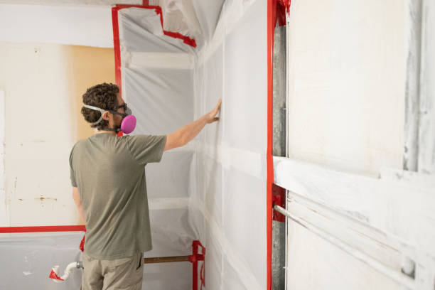 Best Attic Mold Removal  in Fifth Street, TX
