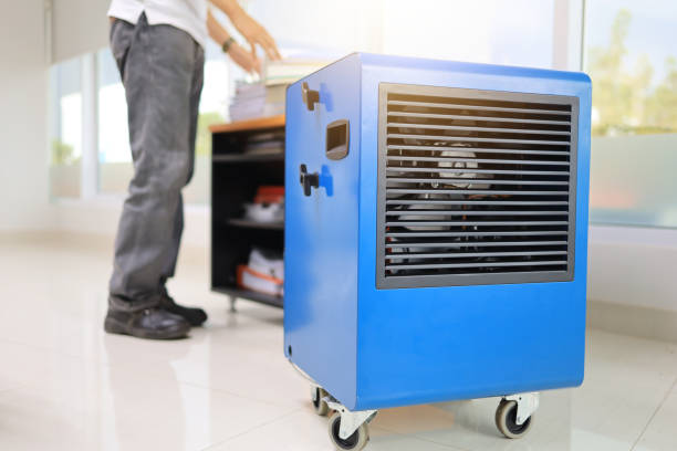 Best HVAC Mold Inspection and Cleaning  in Fifth Street, TX